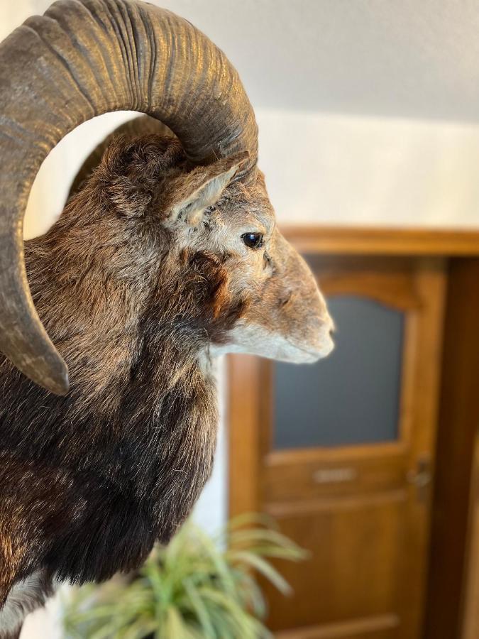 Gaestehaus Johannes نيدرمسيل المظهر الخارجي الصورة